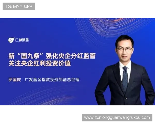 d88尊龙凯时平台的安全保障措施详解确保玩家资金与信息安全的关键措施
